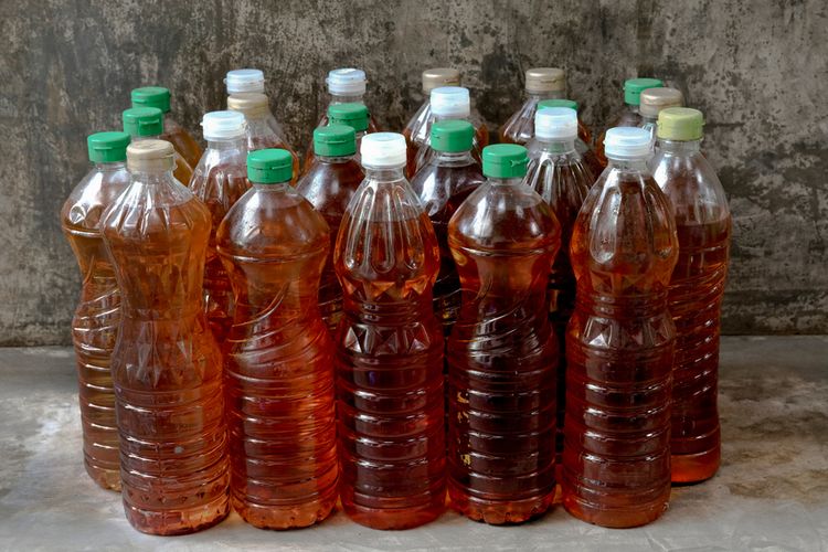 GIMNI Usulkan Pemerintah Buat Aturan soal Minyak Jelantah agar Tak Dikonsumsi Kembali