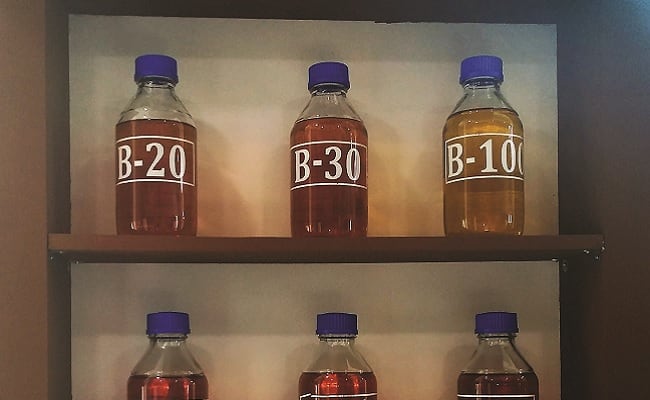 Minyak Jelantah Bisa Untuk Bahan Bakar Alternatif Biodiesel Sawit