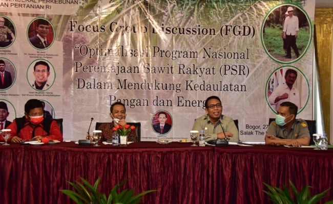 Optimalisasi Peremajaan Sawit Rakyat Perlu Didorong Untuk Kedaulatan Pangan dan Energi