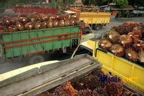 Pemakaian Minyak Jelantah untuk Konsumsi Pangan Masih Marak