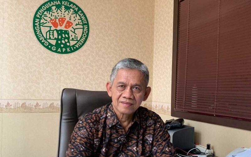 4 Negara Pembeli Sawit Terbesar di Bulan Juli
