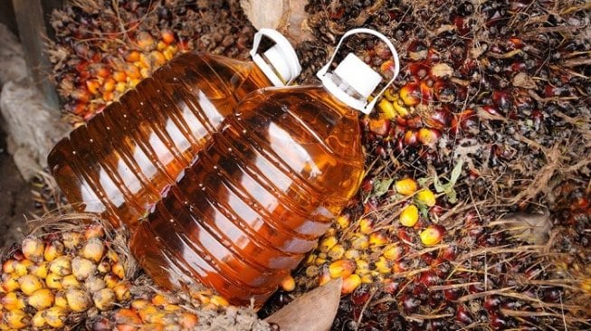 Harga Minyak Goreng Melambung