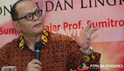Agar Tepat Sasaran, Distribusi Migor Murah Butuh Data Kemensos dan KemenkopUKM