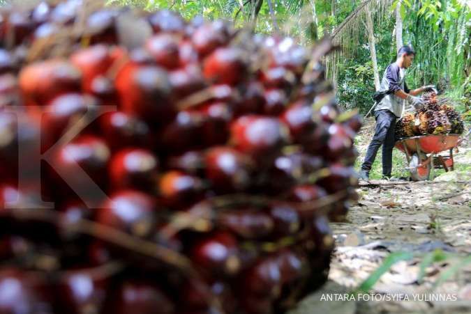 Inovasi Produk Sawit Menjadi Keharusan di Tengah Meningkatnya Kebutuhan