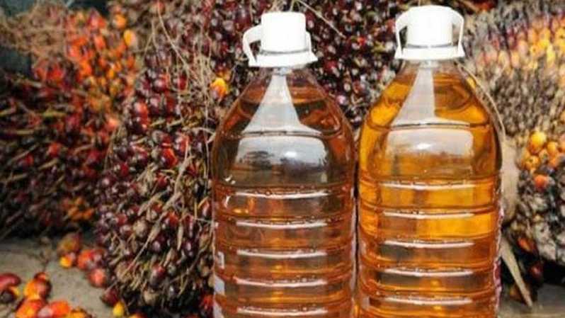 Harga CPO Menguat Dua Hari Berturut-turut