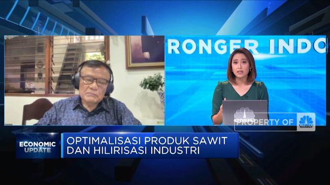 GIMNI:Ini Yang Diperlukan Jika RI Mau Jadi Pemain Sawit Dunia