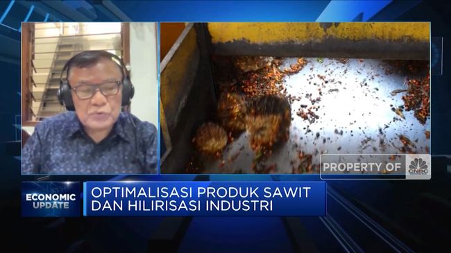 Optimalisasi Produk Sawit &Hilirisasi Industri,Ini Kata GIMNI