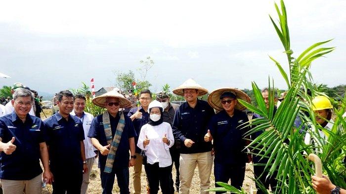 Mulai Tanam Kelapa Sawit di Enrekang, PTPN Group Targetkan Bangun Pabrik PKS Tahun Depan