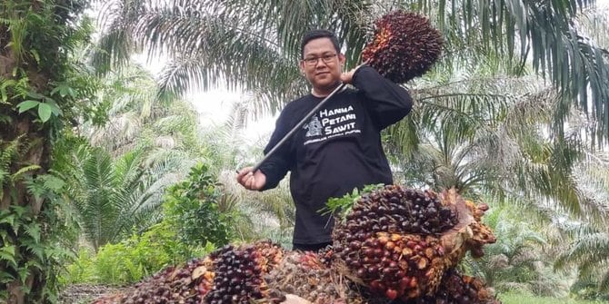 Tak Hanya Disetop, Penggunaan Dana Pungutan Ekspor Kelapa Sawit Diminta Dievaluasi