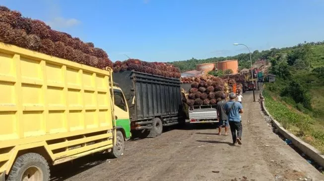 Indonesia Bisa Jadi Pemain Utama Sawit Dunia Jika Pengembangan Tidak Hanya Fokus Minyak Goreng