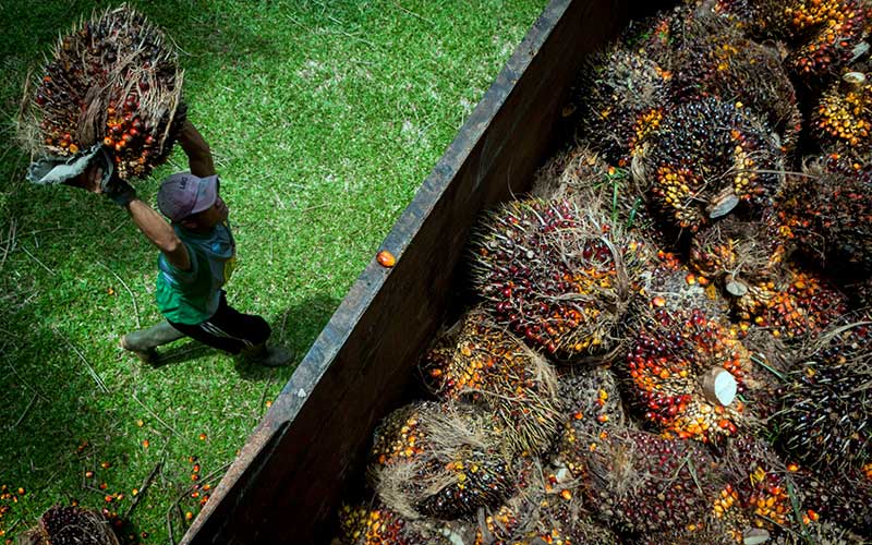 Ancaman Resesi, Pengusaha Yakin Perdagangan Sawit Tidak Akan Kendur