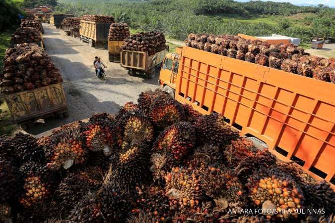 Ini Saran Pengusaha Kepada Pemerintah dalam Membentuk Harga Acuan Sawit