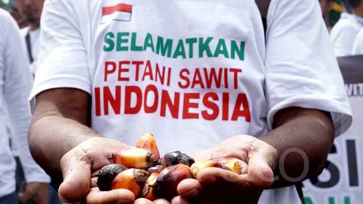 Harga Pupuk Melonjak, Petani Kelapa Sawit Minta Subsidi