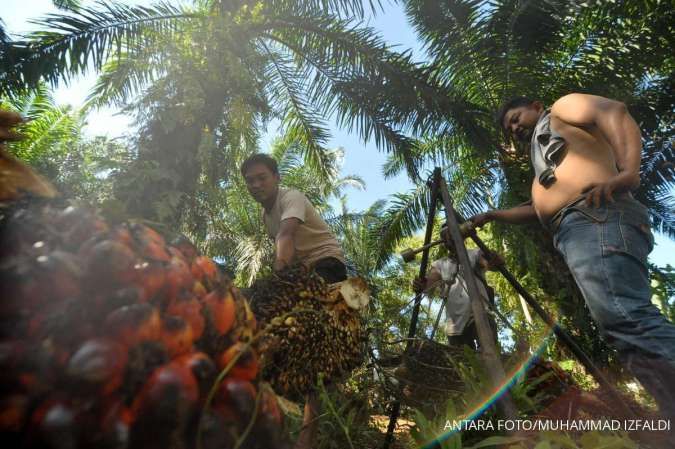Harga CPO Masih Tertekan, Begini Rekomendasi Saham Emiten Sawit