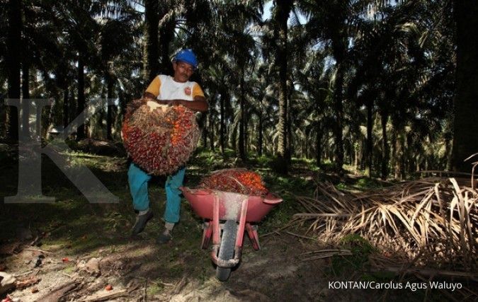 ILUSTRASI. Petani kelapa sawit mengumpulkan hasil panen kelapa sawit di Perkebunan inti Asian Agri, Buatan Riau, Kamis (26/6). RSPO Tegaskan Komitmen Mengembangkan Industri Minyak Kelapa Sawit Berkelanjutan.
