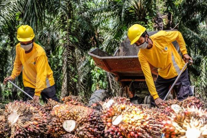 Diprediksi Dapat Sentimen Positif, Begini Rekomendasi Saham Emiten CPO dari Analis