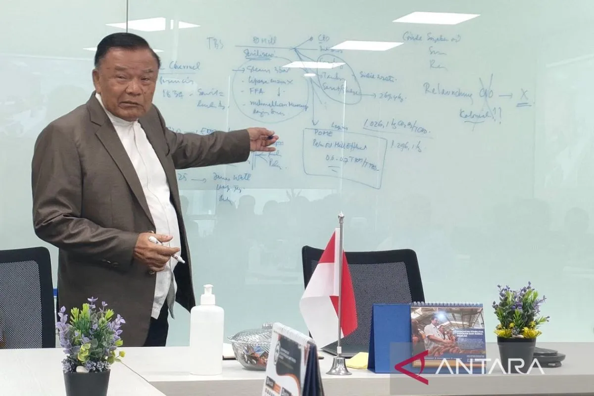 Asosiasi optimis pemerintah baru memperkuat hilirisasi industri sawit